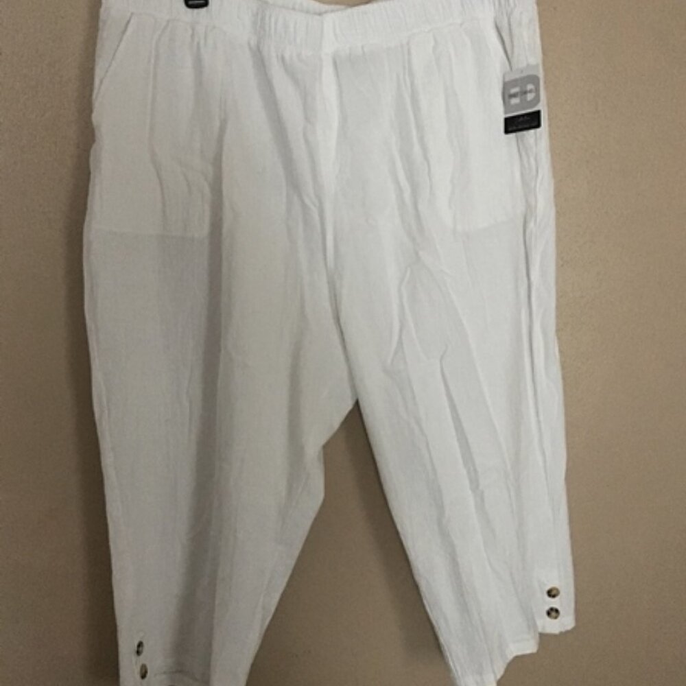 EMILY DANIELS Shorts  Size: 3X #5730